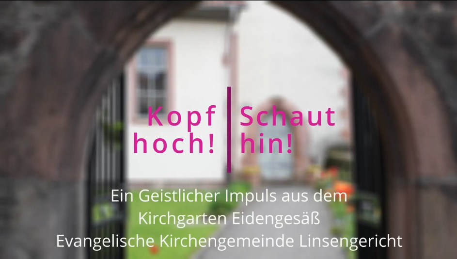 Kopf hoch! Schaut hin! – Geistlicher Impuls aus dem Kirchgarten Eidengesäß